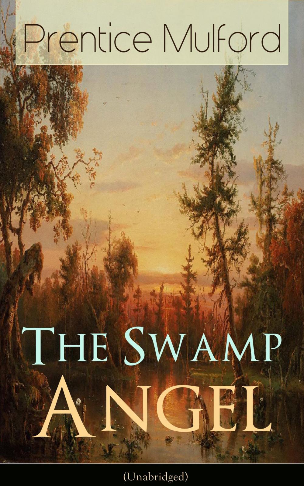 Big bigCover of The Swamp Angel (Unabridged)