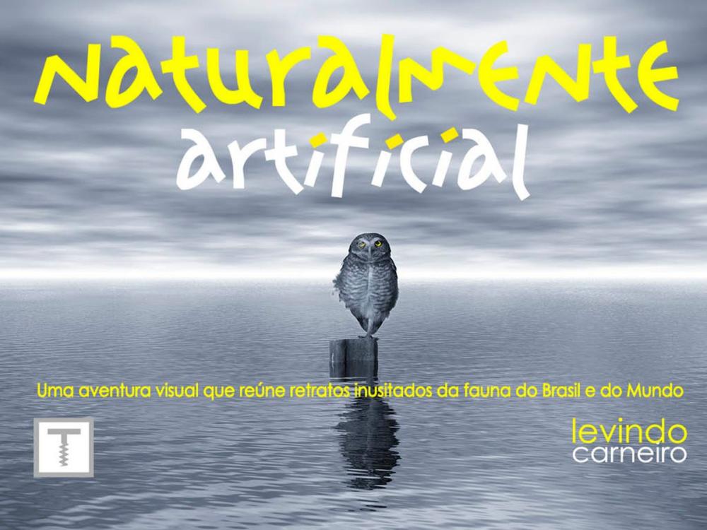 Big bigCover of Naturalmente Artificial