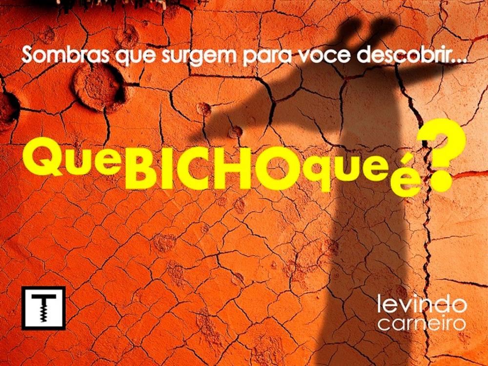 Big bigCover of Que bicho que é?