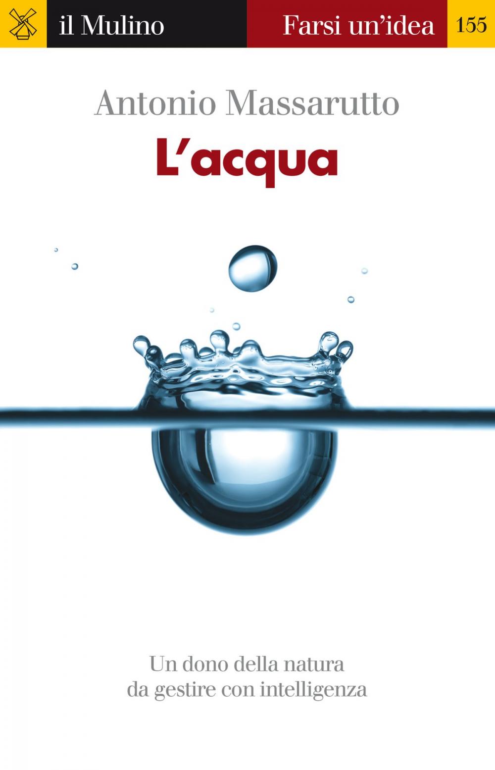 Big bigCover of L'acqua