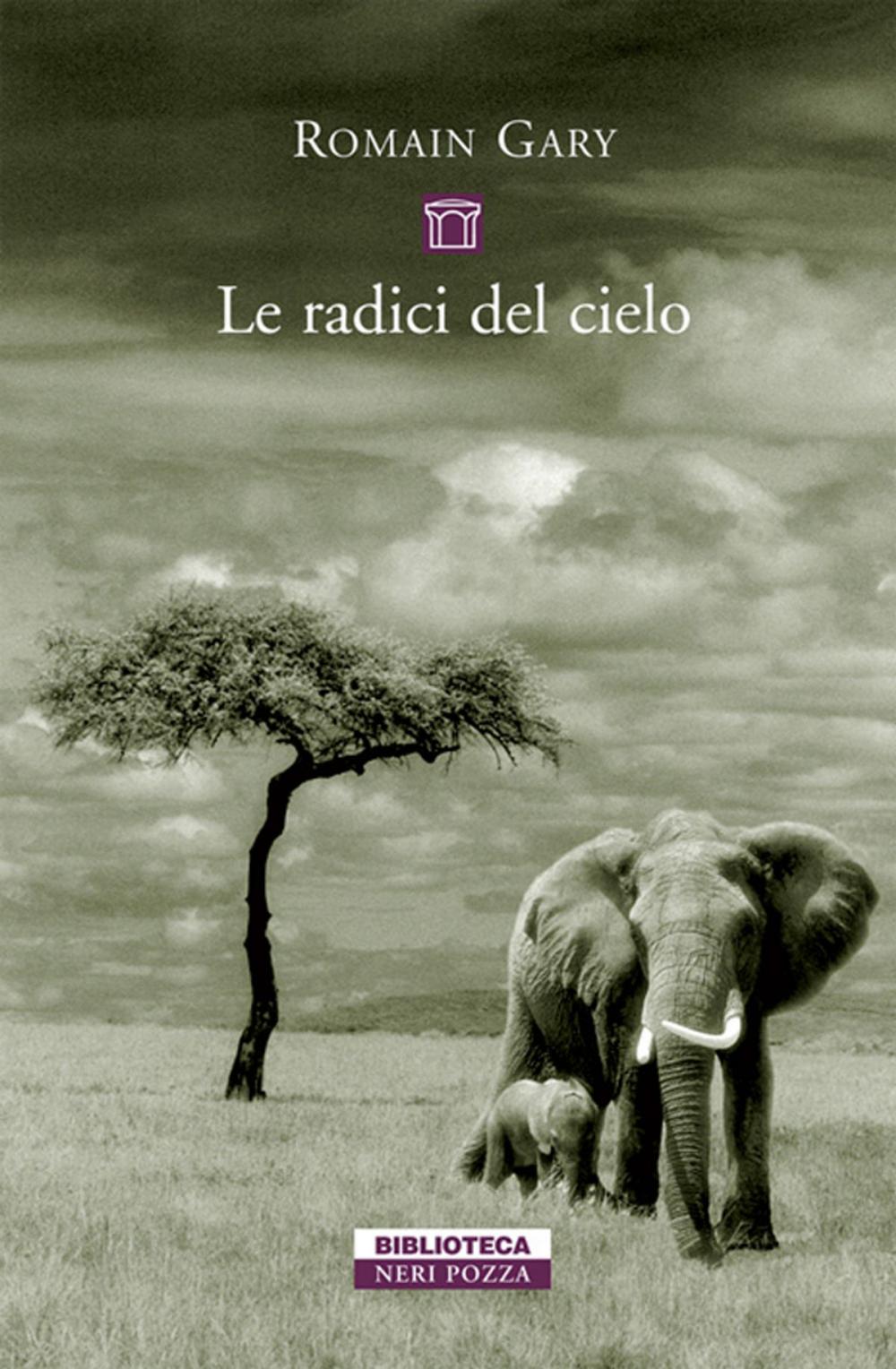 Big bigCover of Le radici del cielo