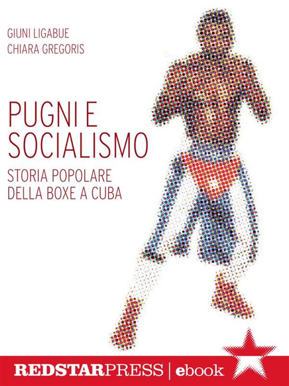 Big bigCover of Pugni e socialismo