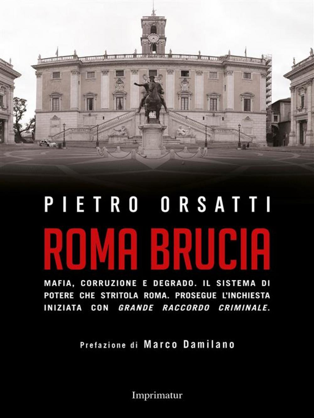 Big bigCover of Roma brucia