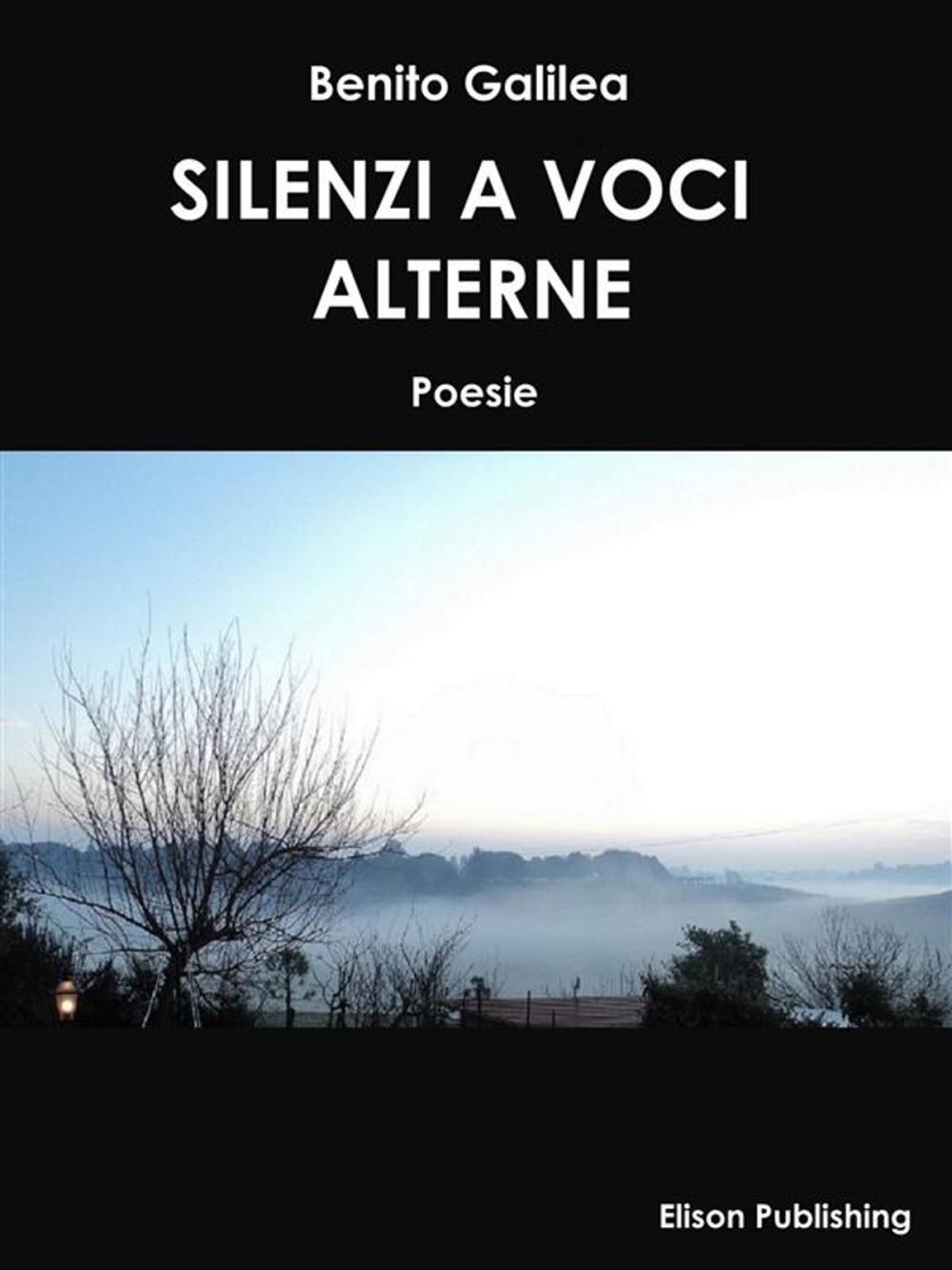 Big bigCover of Silenzi a voci alterne