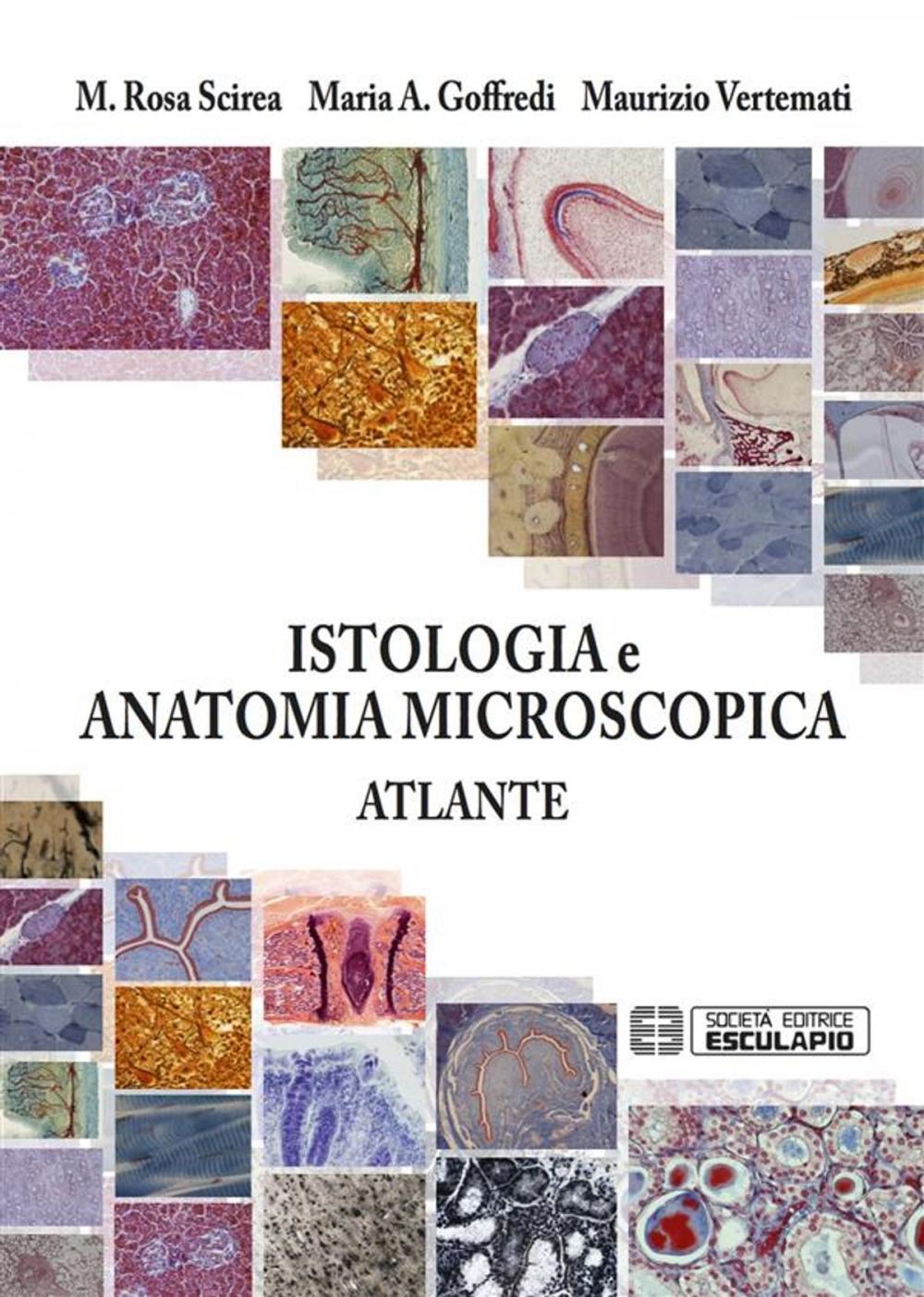 Big bigCover of Atlante di Istologia e Anatomia Microscopica