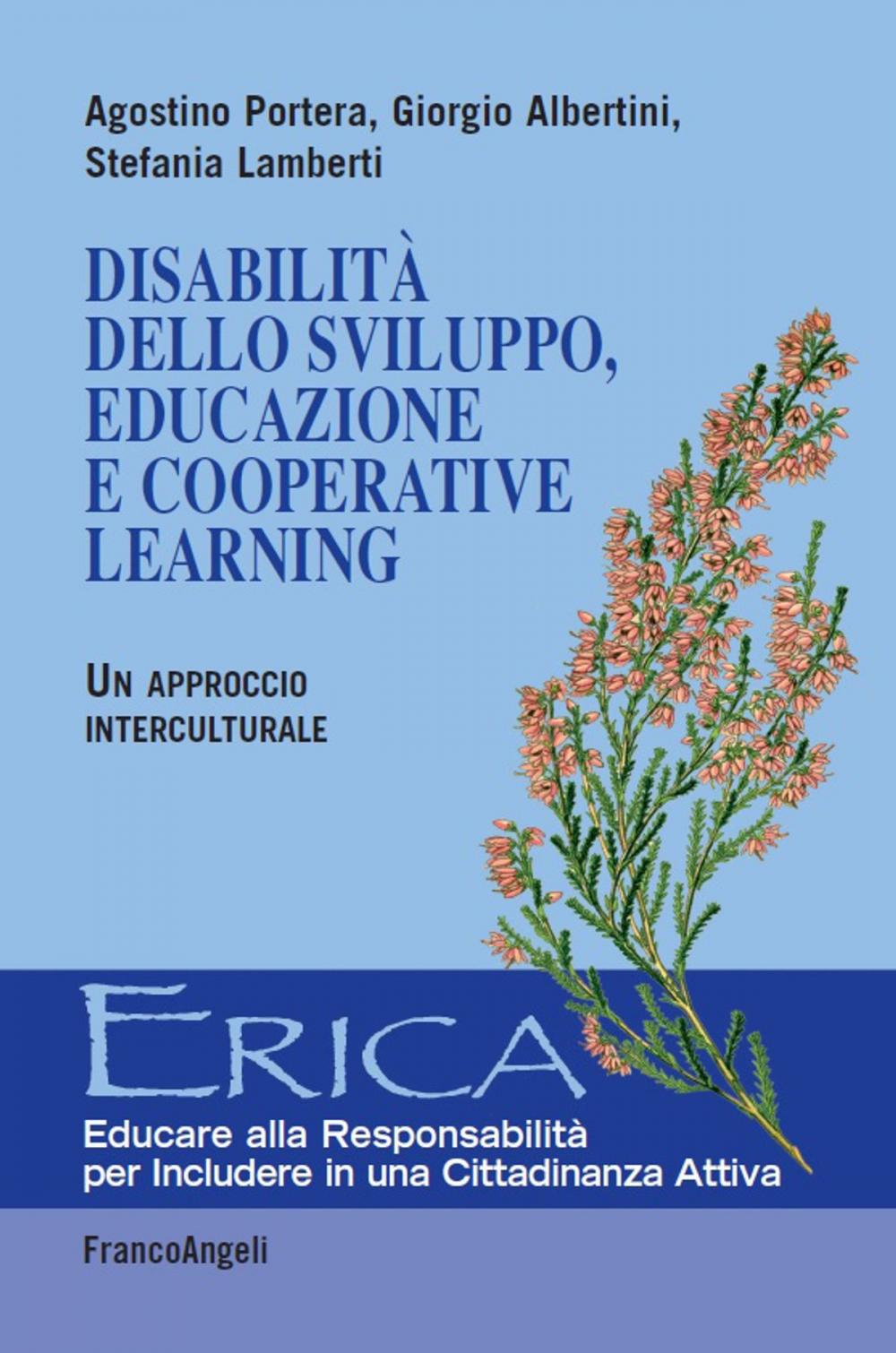 Big bigCover of Disabilità dello sviluppo, educazione e Cooperative Learning