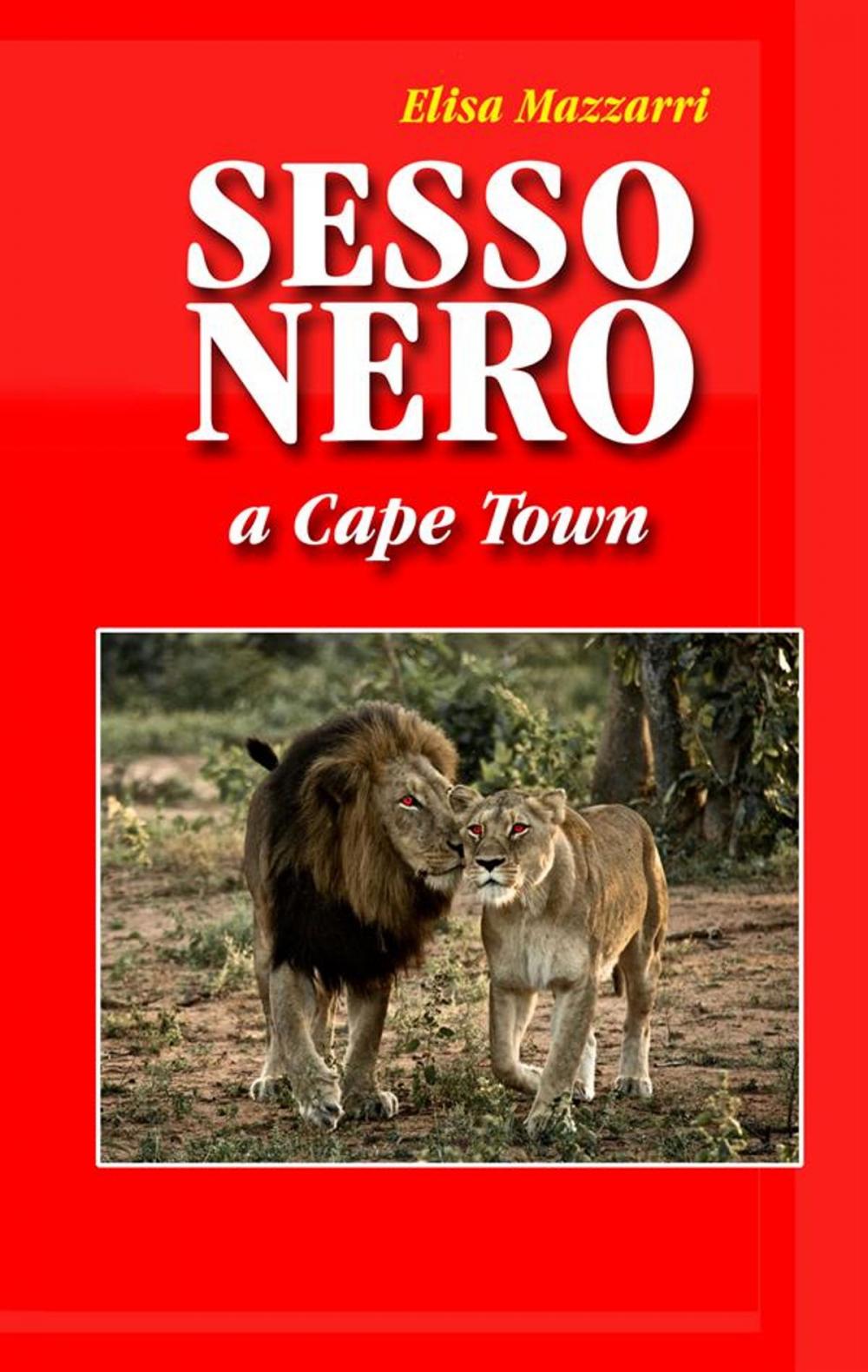 Big bigCover of Sesso nero a Cape Town