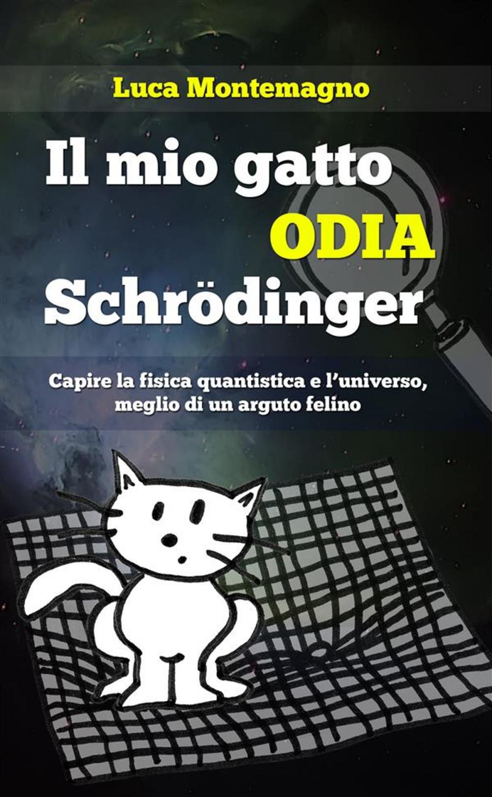 Big bigCover of Il mio gatto odia Schrodinger