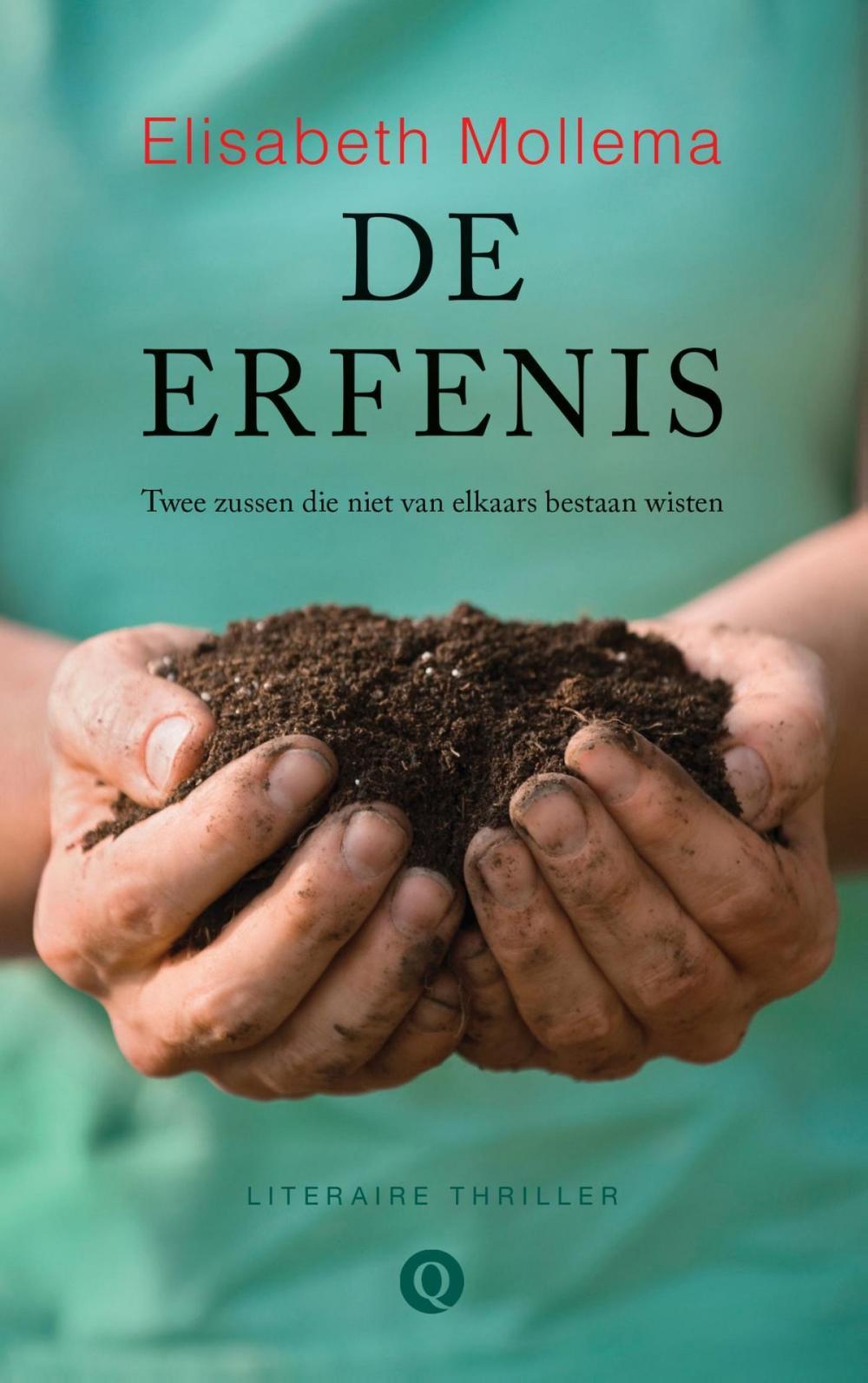 Big bigCover of De erfenis