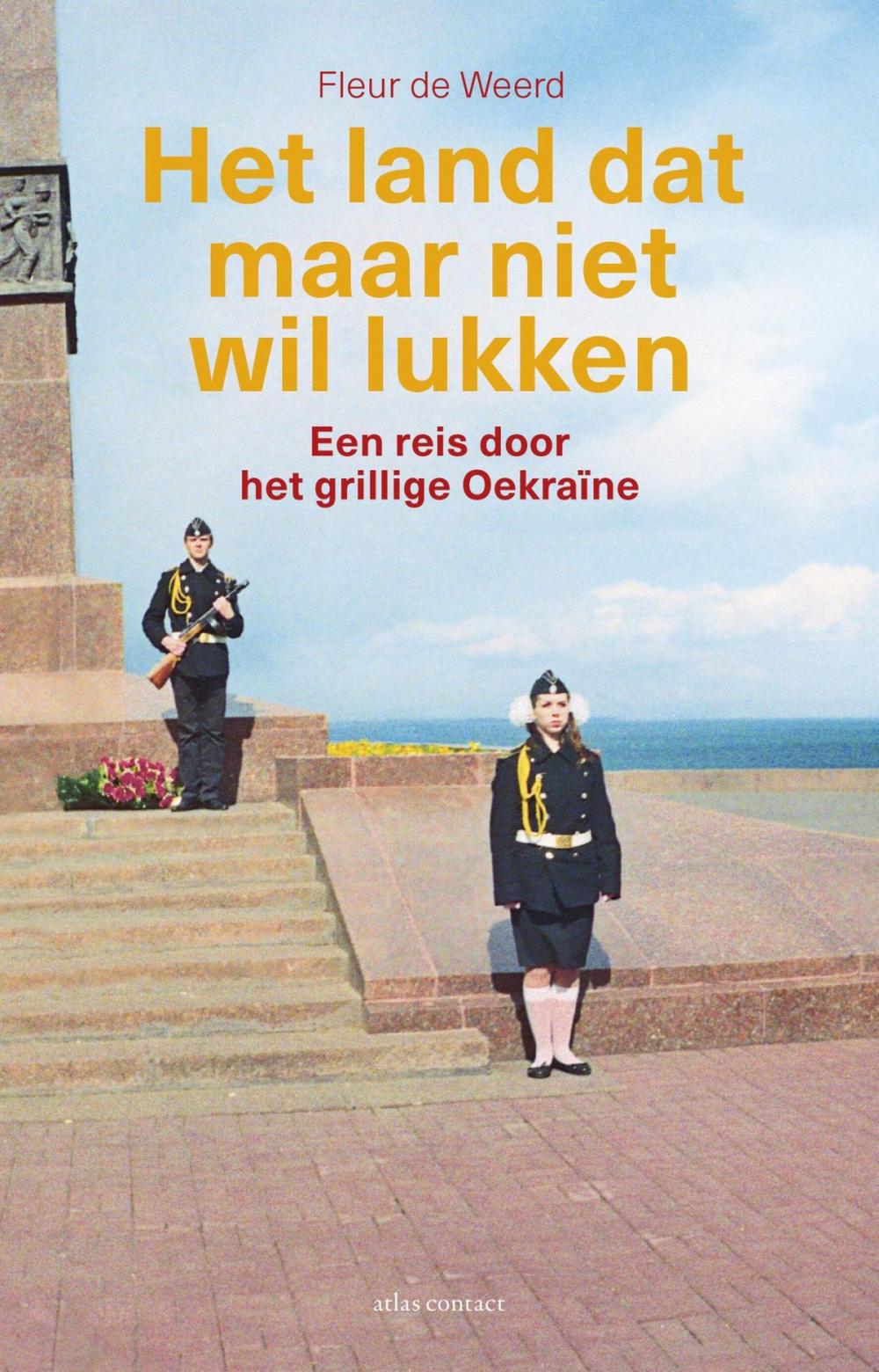 Big bigCover of Het land dat maar niet wil lukken