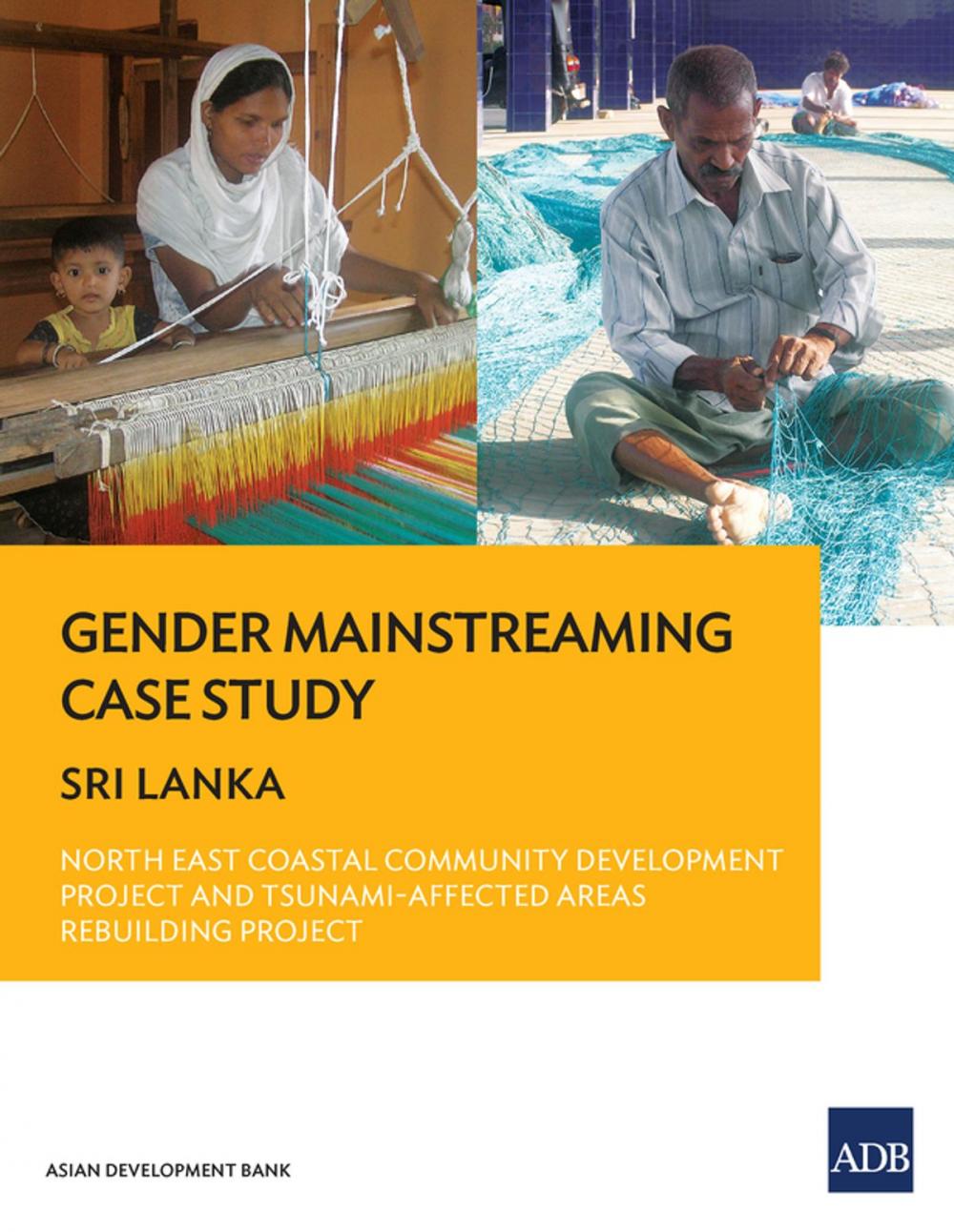 Big bigCover of Gender Mainstreaming Case Study