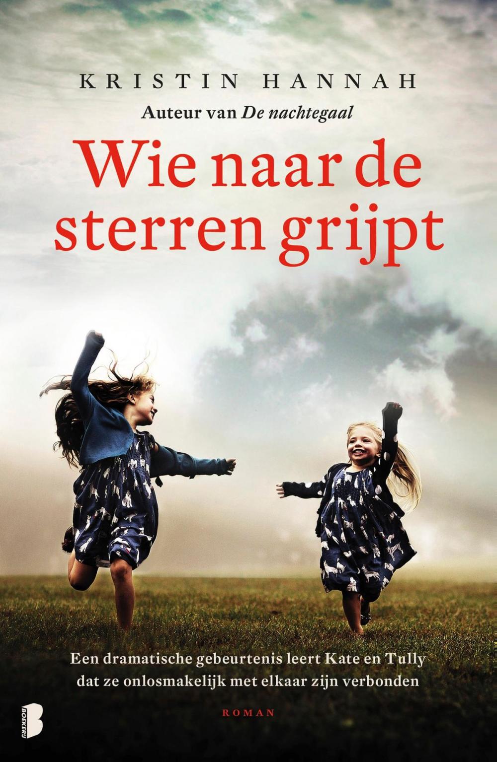 Big bigCover of Wie naar de sterren grijpt