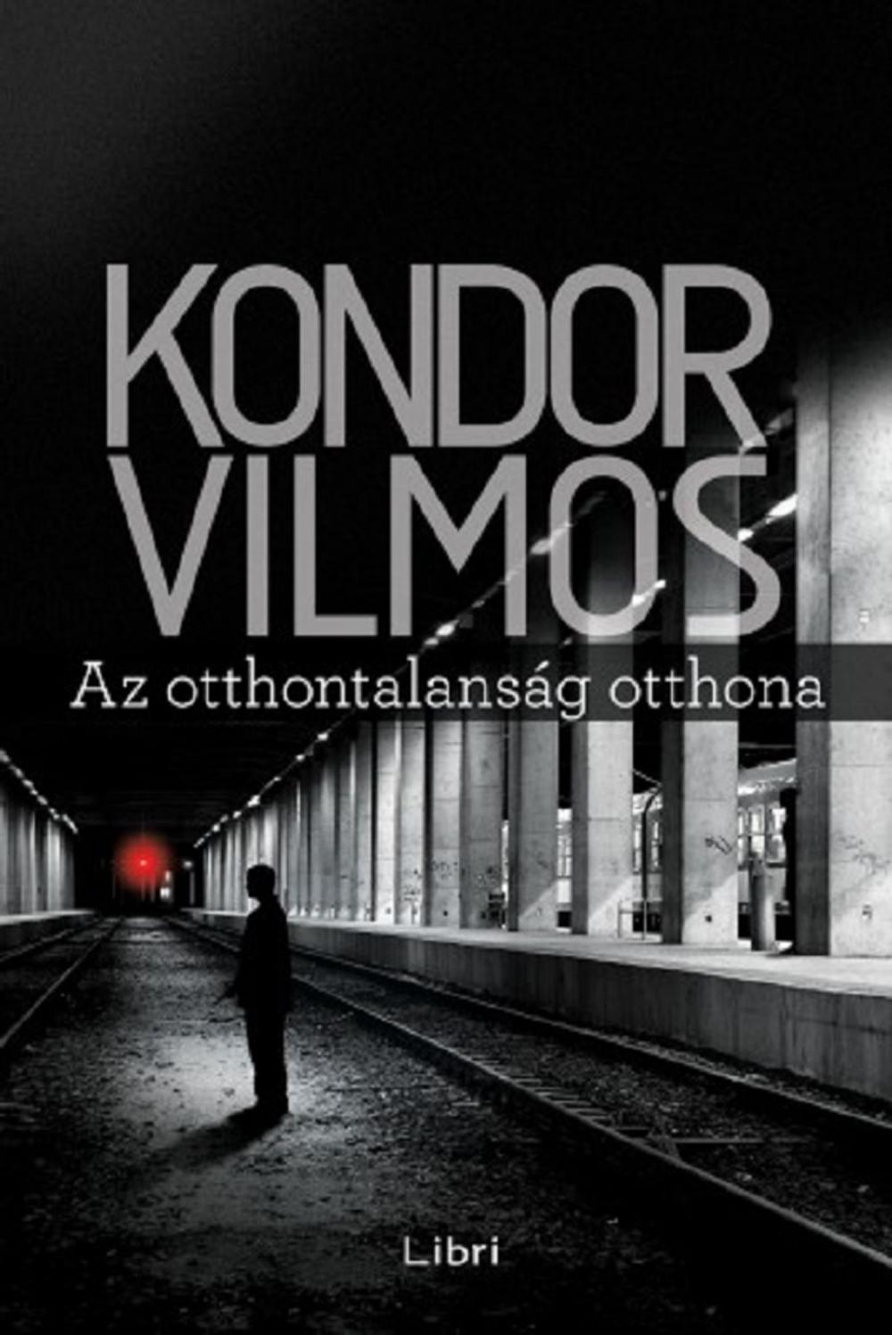 Big bigCover of Az otthontalanság otthona