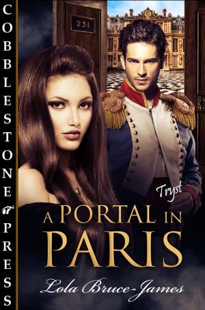 Book cover of A Portal in Paris