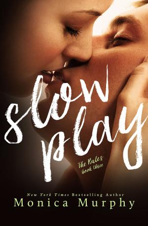 bigCover of the book Slow Play by 