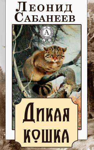 Cover of the book Дикая кошка by Жюль Верн