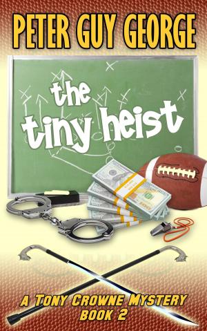 Cover of the book The Tiny Heist by Alyssa Thiessen