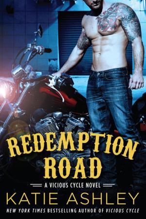 Cover of the book Redemption Road by Jake Logan