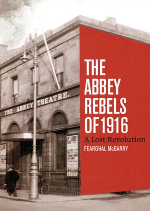 Book cover of The Abbey Rebels of 1916