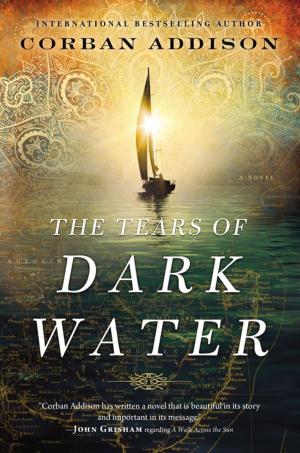 Cover of the book The Tears of Dark Water by Ted Dekker