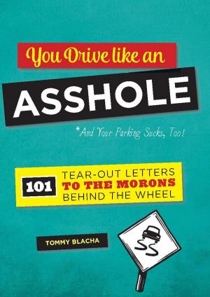 Cover of the book You Drive Like an Asshole by Nicole Miyuki Santo