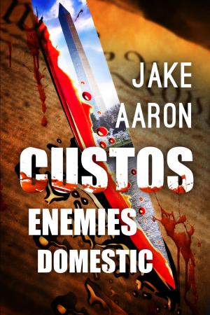 Cover of the book Custos: Enemies Domestic by Drew Launay