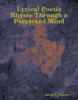 Cover of the book Lyrical Poetic Rhyme Through a Perplexed Mind by Jordan Chaney