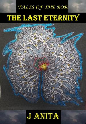 Cover of the book The Last Eternity by Dominic Sceski