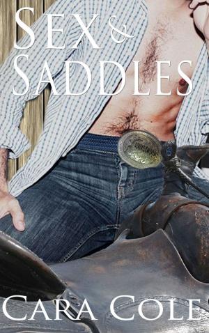 Cover of the book Sex and Saddles by Enea Tonon