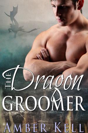Cover of the book Dragon Groomer by R.R. Born