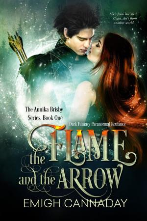 Cover of the book The Flame and the Arrow by Mario Lattimore