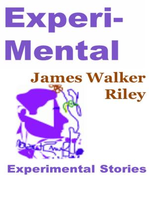 Book cover of Experi-Mental