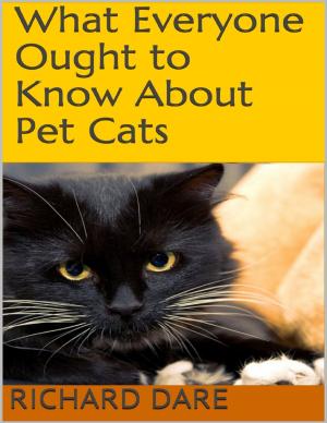Book cover of What Everyone Ought to Know About Pet Cats
