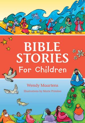 Book cover of Bible Stories for Children