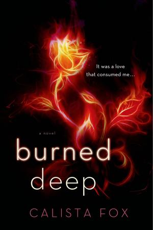 Book cover of Burned Deep