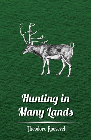 bigCover of the book Hunting in Many Lands – The Book of the Boone and Crockett Club by 