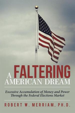 Book cover of A Faltering American Dream