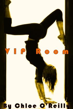Cover of the book The VIP Room by CJ Hunnel