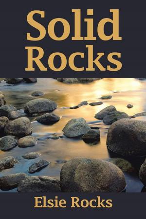 Cover of the book Solid Rocks by Agaba Samuel Rujumba