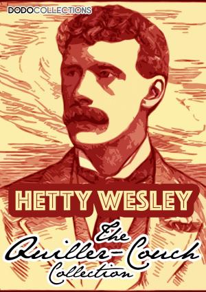 Cover of the book Hetty Wesley by Ben Howkins