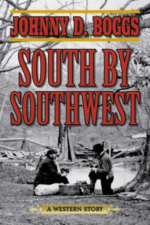 Cover of the book South by Southwest by Tyler Gillespie, Claire Linic