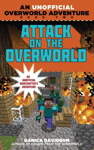 Cover of the book Attack on the Overworld by Mark Cheverton