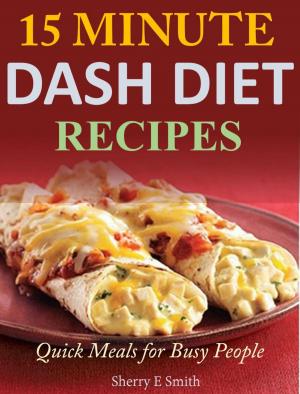 Book cover of 15 Minute Dash Diet Recipes Quick Meals for Busy People