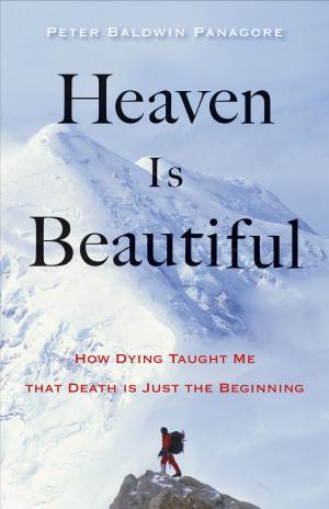 Cover of the book Heaven Is Beautiful by Clarke, Robert B.