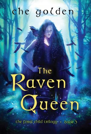 Cover of the book The Raven Queen by Sandra Krebs Hirsh