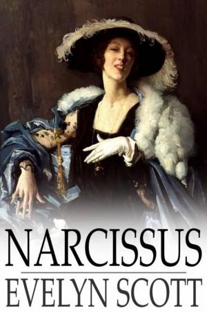 Cover of the book Narcissus by Will Durant