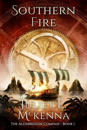 Book cover of Southern Fire