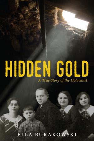Cover of the book Hidden Gold by Boris Zabarko