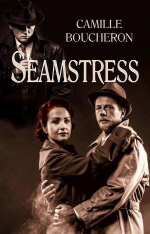 Cover of the book Seamstress by Christine Kersey