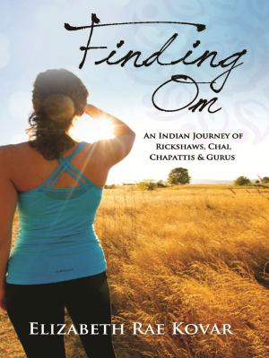 Cover of the book Finding Om by Alpha Minds